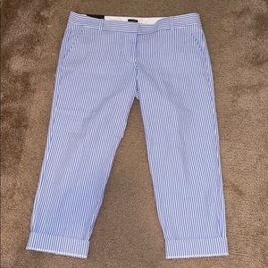 J.Crew city fit pants
